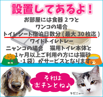 �y�b�g�V�[�c�T�[�r�X