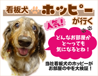 �Ŕ��z�b�s�[���s��