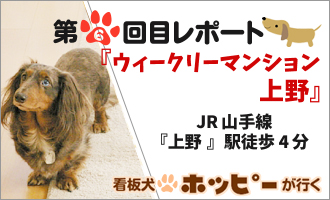 �E�B�[�N���[�}���V�������