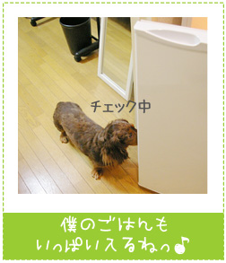 �L�b�`�� �①��