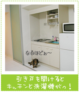 �L�b�`���Q