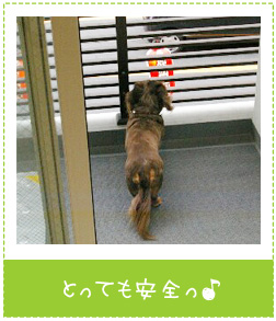 �o���R�j�[