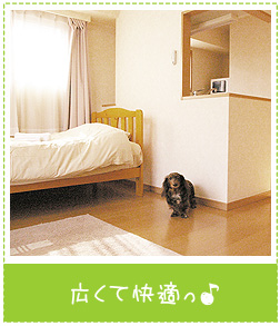 �L���Ԏ��